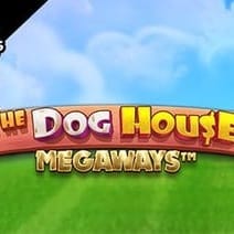 The Dog House Megaways™ game screenshot